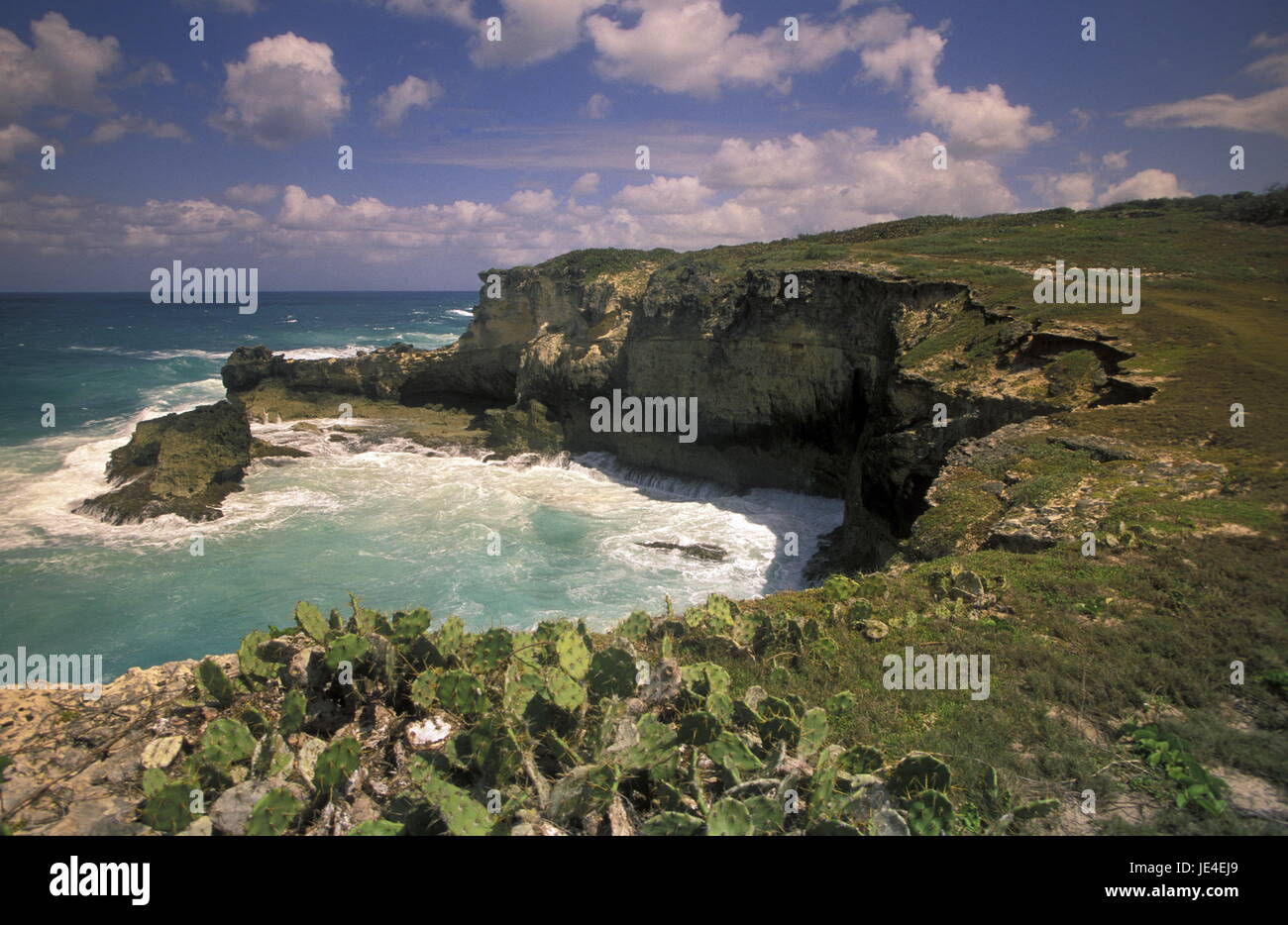 La costa presso il villaggio di Punta Cana nella Repubblica Dominicana nel Mar dei Caraibi in America Latina. Foto Stock