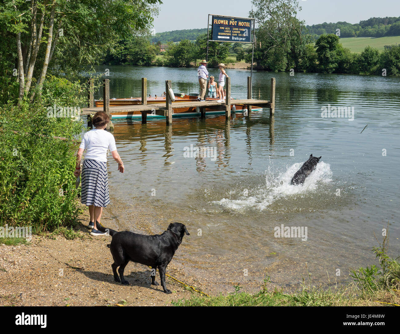 Inghilterra, Oxfordshire, Henley, Thames di Fiume al Aston Foto Stock