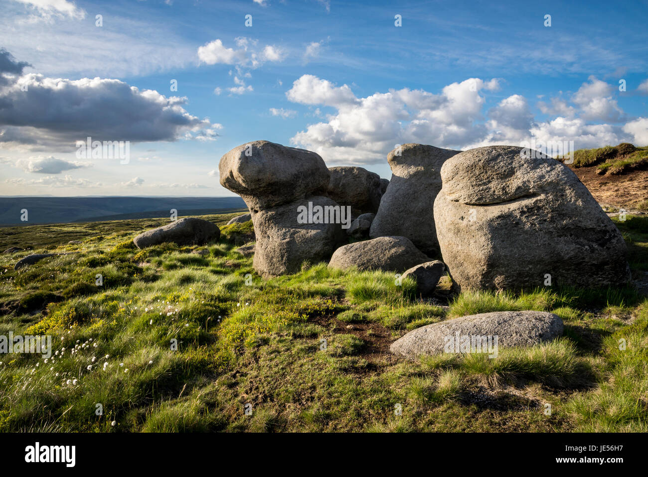 Ripiano pietre sulla Bleaklow, un'area del paesaggio di brughiera vicino a Glossop nel picco scuro, Derbyshire, in Inghilterra. Foto Stock