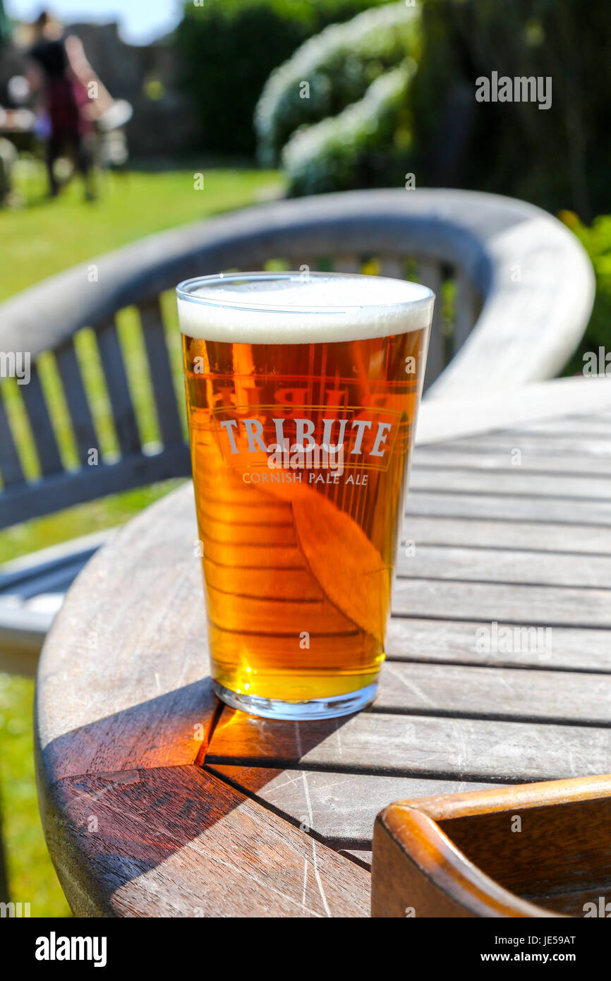 Una pinta di birra omaggio o real ale prodotta dalla St Austell Brewery Cornwall Inghilterra REGNO UNITO Foto Stock