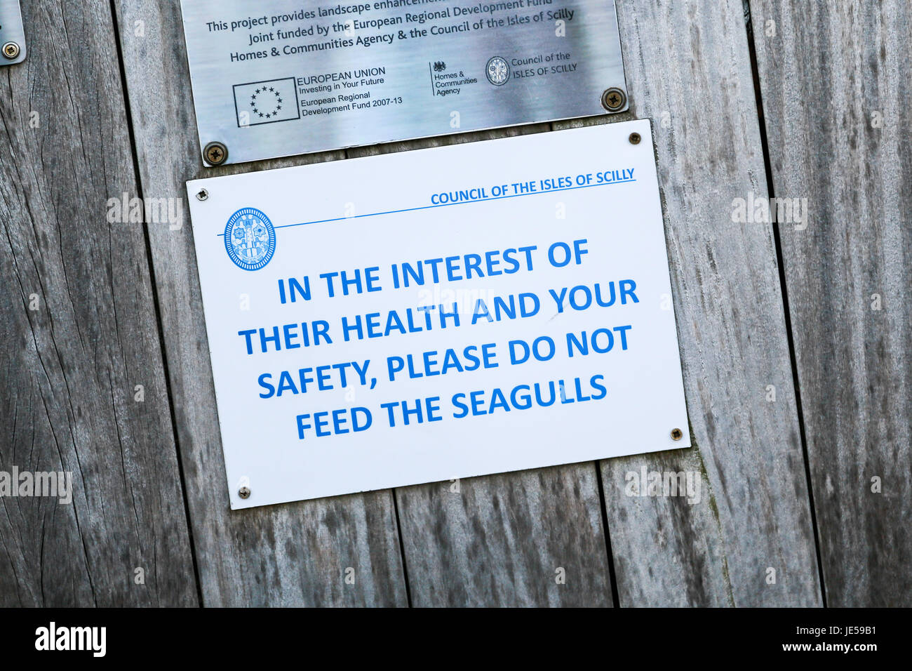 Un cartello si prega di non alimentare i gabbiani sulla baia Porthcressa Hugh Town, St. Mary's Island, isole Scilly, Cornwall, Regno Unito Foto Stock