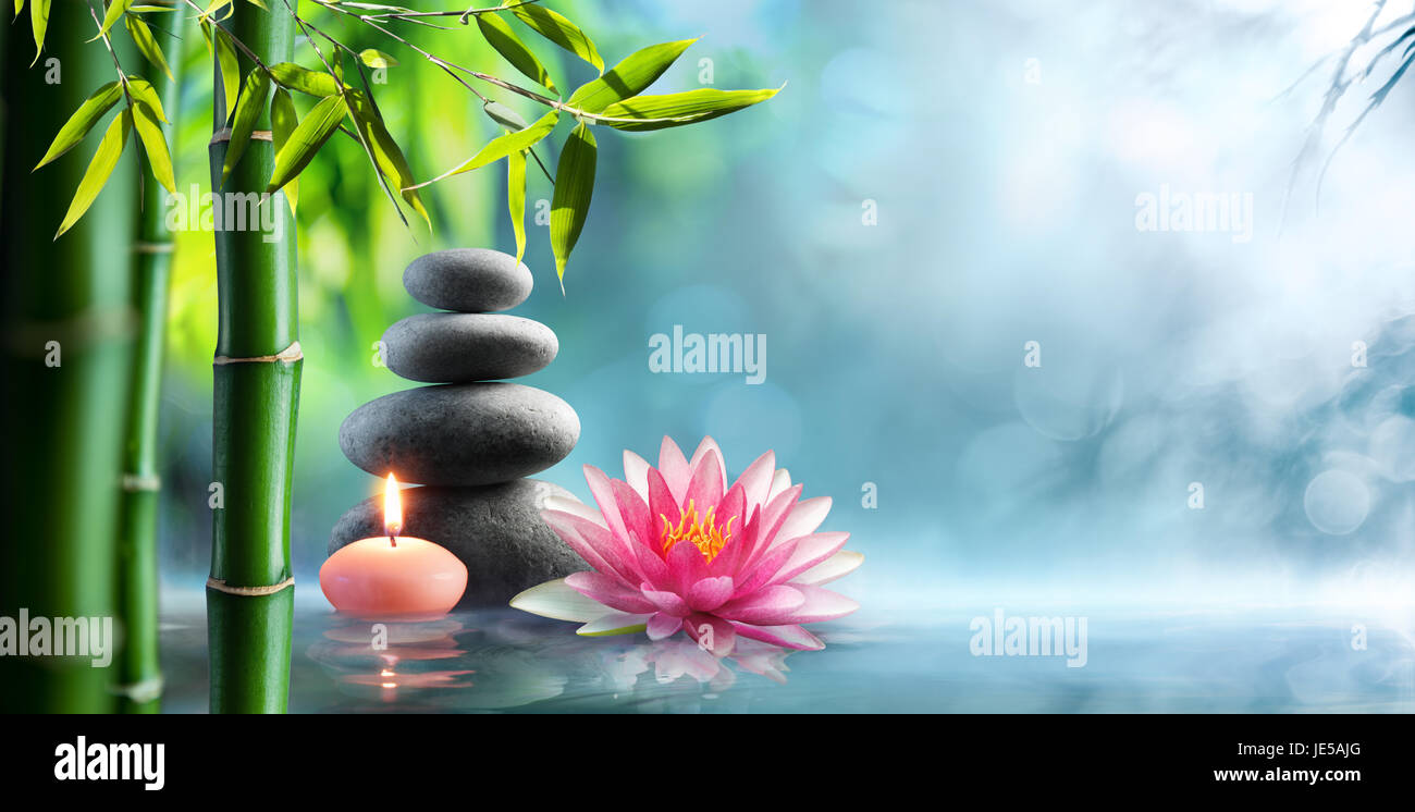 Spa - Alternativa naturale terapia di massaggio con pietre e ninfea in acqua Foto Stock