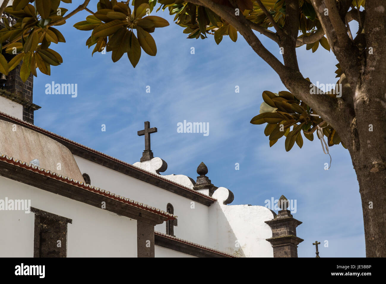 Ponta Delgada sull'isola di Sao Miguel è la capitale dell'arcipelago delle Azzorre. Foto Stock