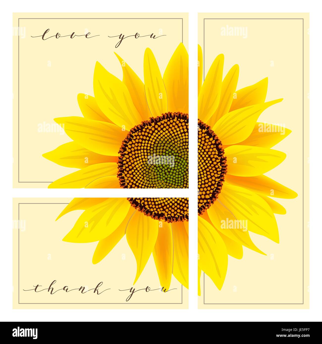 Set di carte con parole di amore e vi ringrazio, girasole sullo sfondo. 3 in 1 poster, invito saluto, business card. Per la decorazione, packi Illustrazione Vettoriale