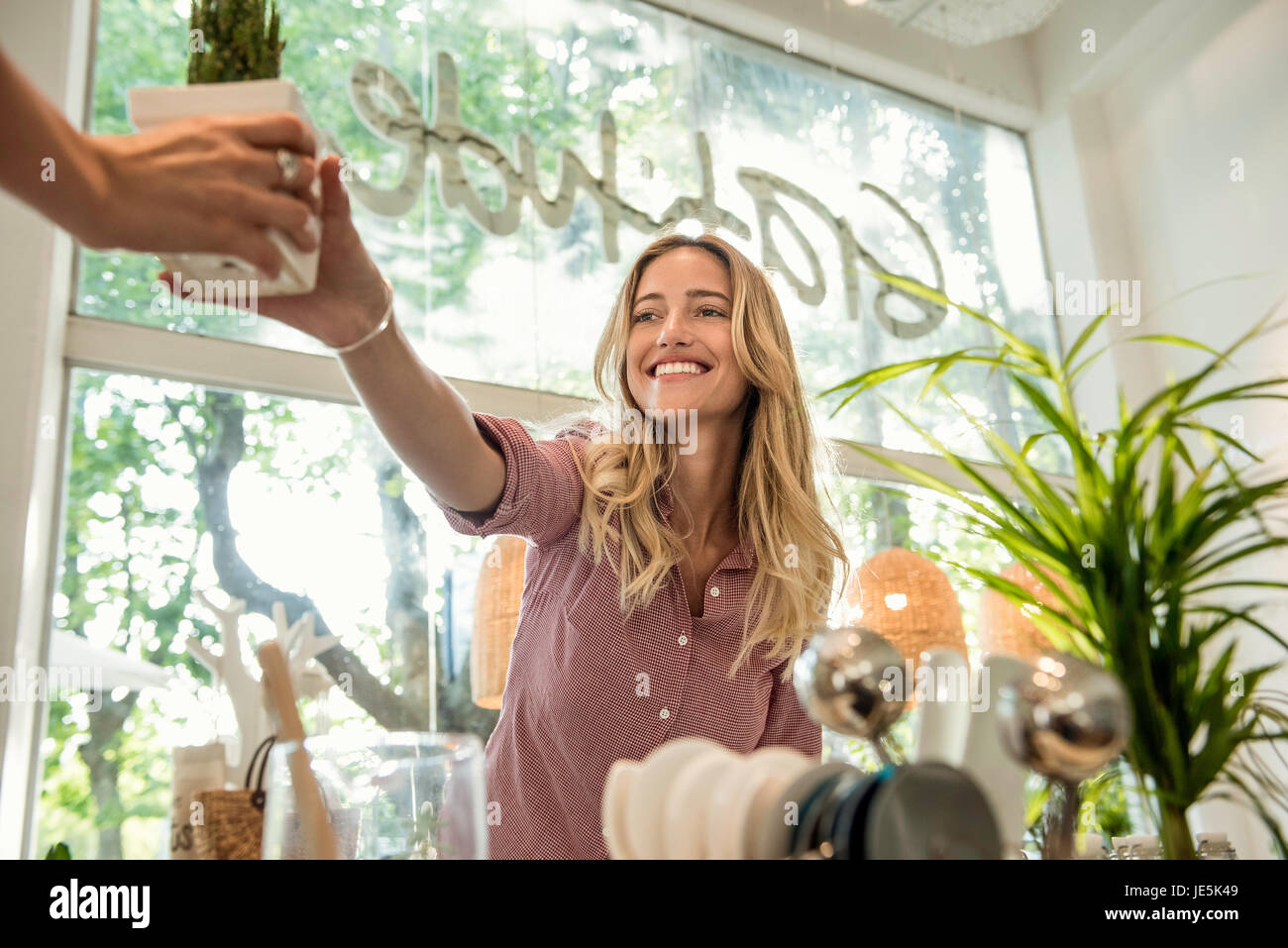 Donna acquisto di pianta in vaso in negozio Foto Stock