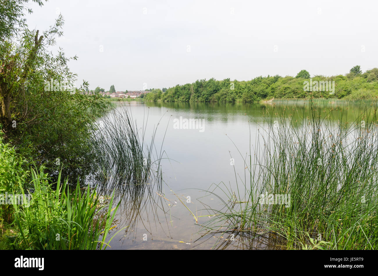 Il Buckpool e delle paludi le piscine di Barrow Hill Riserva Naturale in Dudley sono stati costruiti come serbatoi da Stourbridge Canal Company nel 1779 Foto Stock