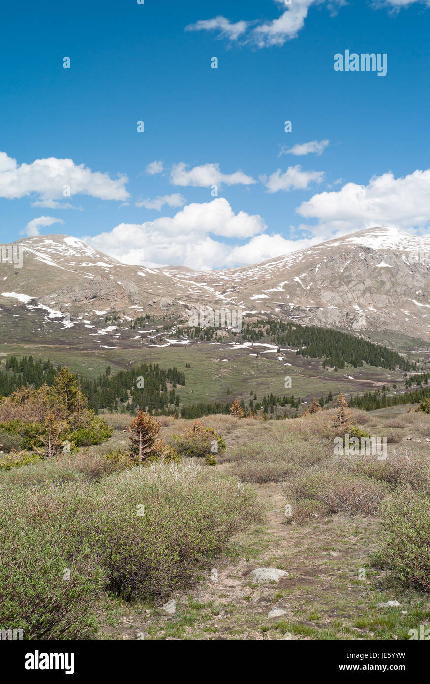 Guanella Pass Colorado Foto Stock