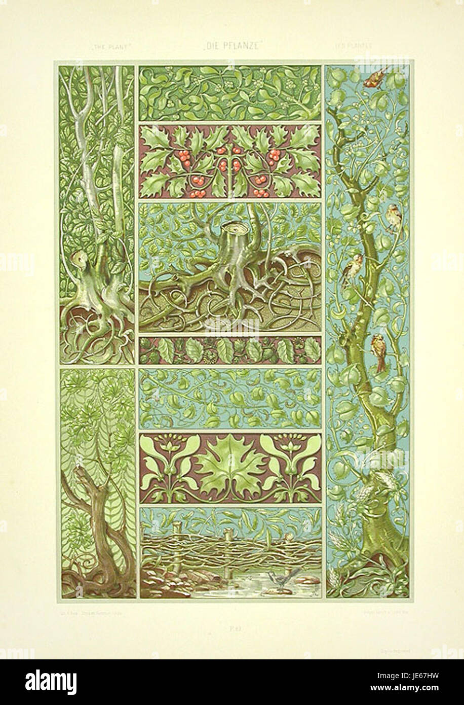 L'illustrazione di Anton Seder degli alberi di agrifoglio e di vischio mette in mostra queste piante invernali tradizionali, spesso associate alle festività e alle feste stagionali. Il disegno botanico dettagliato mette in evidenza le loro caratteristiche distintive e il loro significato culturale. Foto Stock