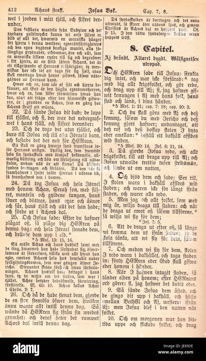 Una pagina di "Biblia Fjellstedt", una Bibbia svedese pubblicata nel 1890, che presenta il testo e il commento sulle scritture bibliche da una prospettiva del XIX secolo. Foto Stock