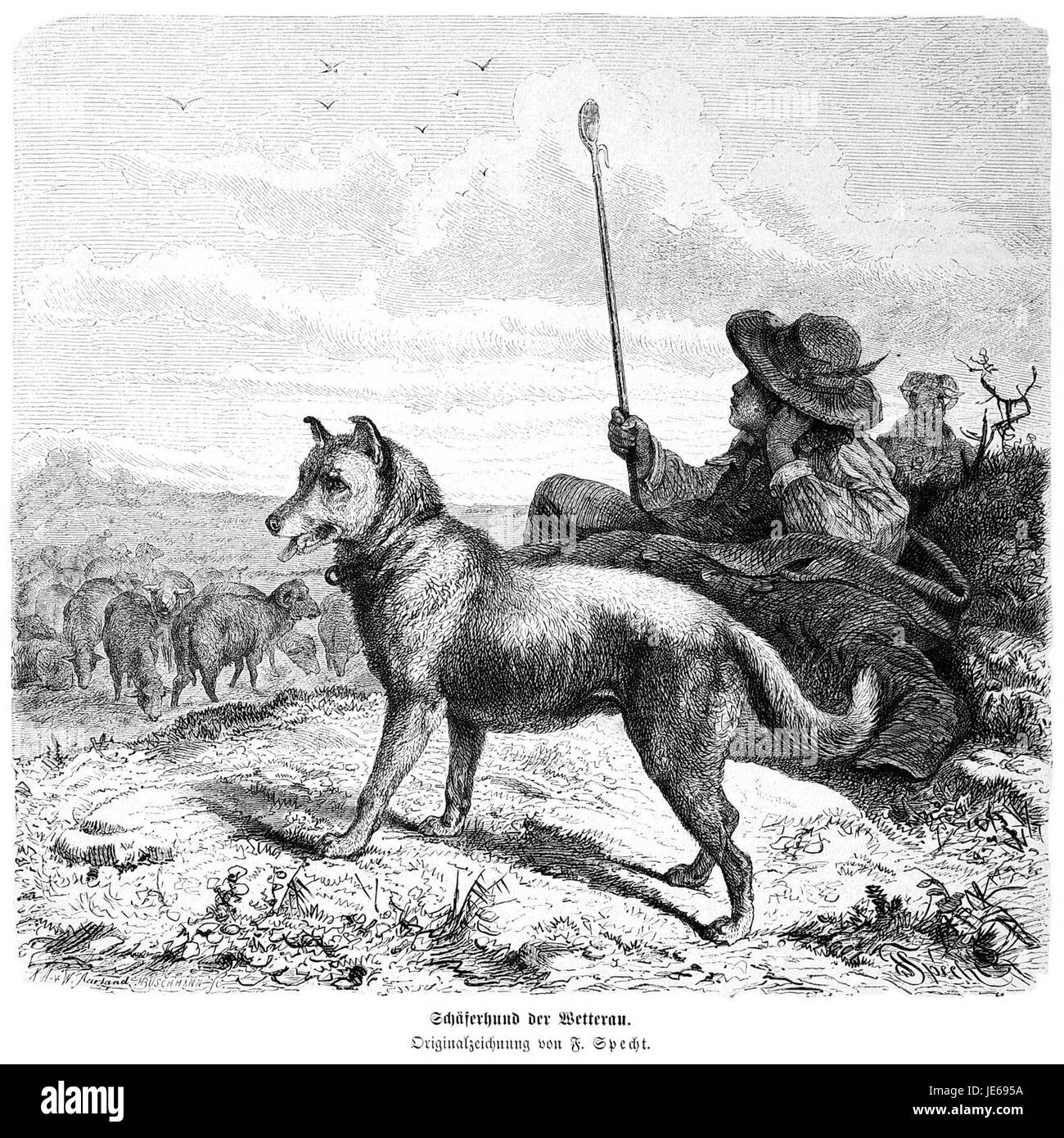 "Die Gartenlaube" (1872) è stato un settimanale illustrato tedesco che ha coperto una serie di argomenti, tra cui arte, cultura e scienza. Questo particolare numero del 1872 include contenuti visivi che riflettono lo stile e gli interessi sociali del periodo. Foto Stock