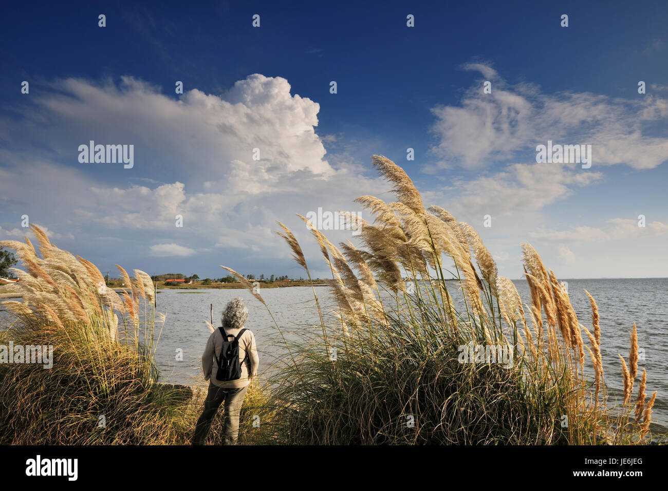 Cais da Béstida (Bestida wharf), di Ria de Aveiro. Portogallo Foto Stock