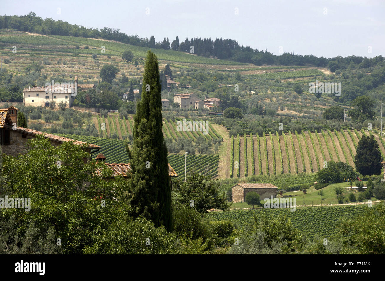 L'Italia, Toscana, regione Chianti, area vitivinicola, Foto Stock