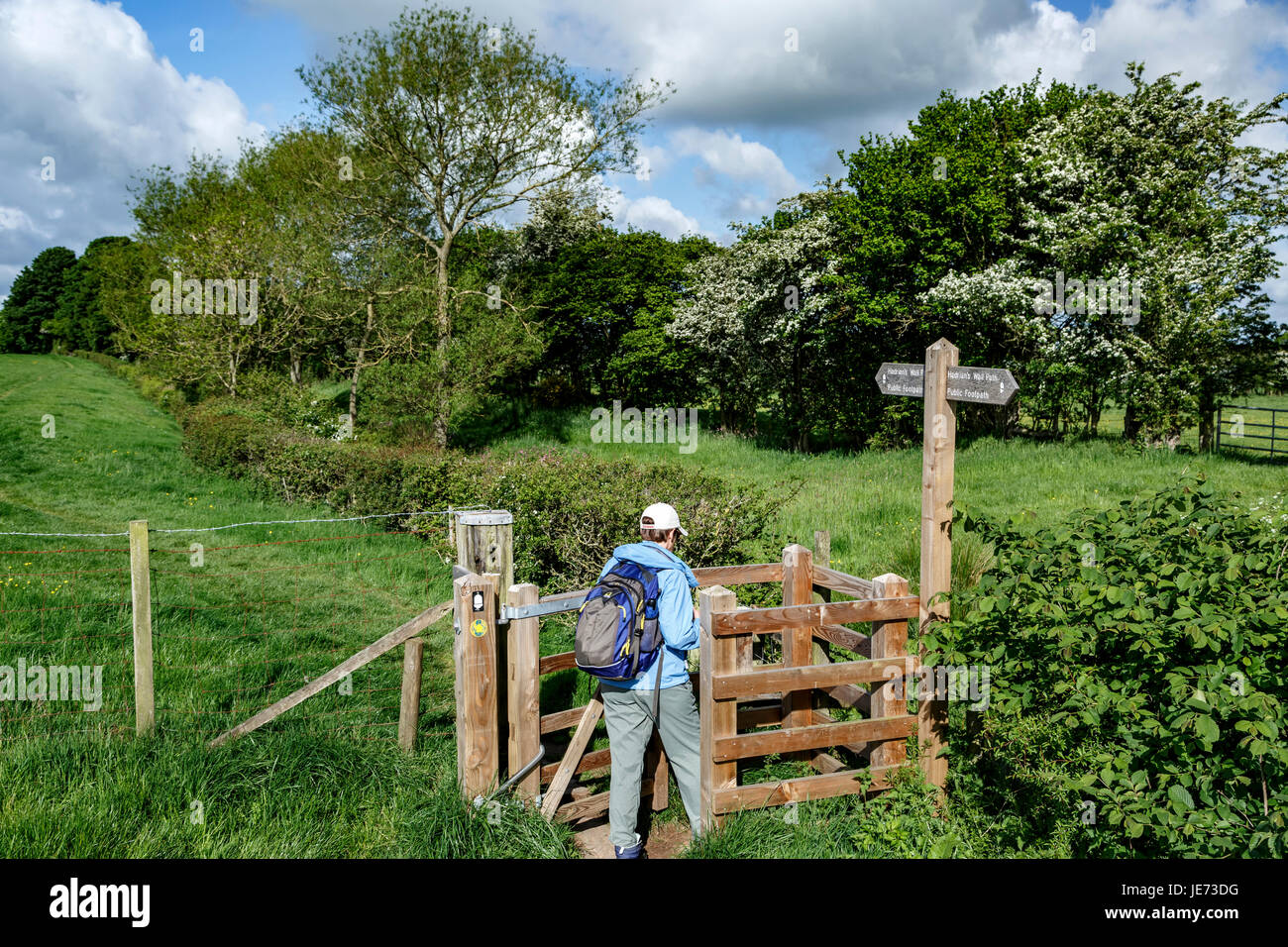 Donna escursionista a baciare gate e del vallo di Adriano cartello percorso, il vallo di Adriano, vicino Bletarn, Cumbria, England, Regno Unito Foto Stock