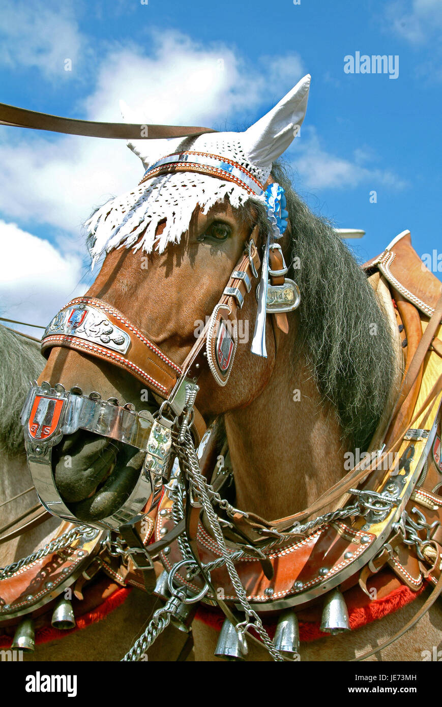 Cavallo, decorate, birreria carrelli, ottobre festa, Monaco di Baviera, Foto Stock