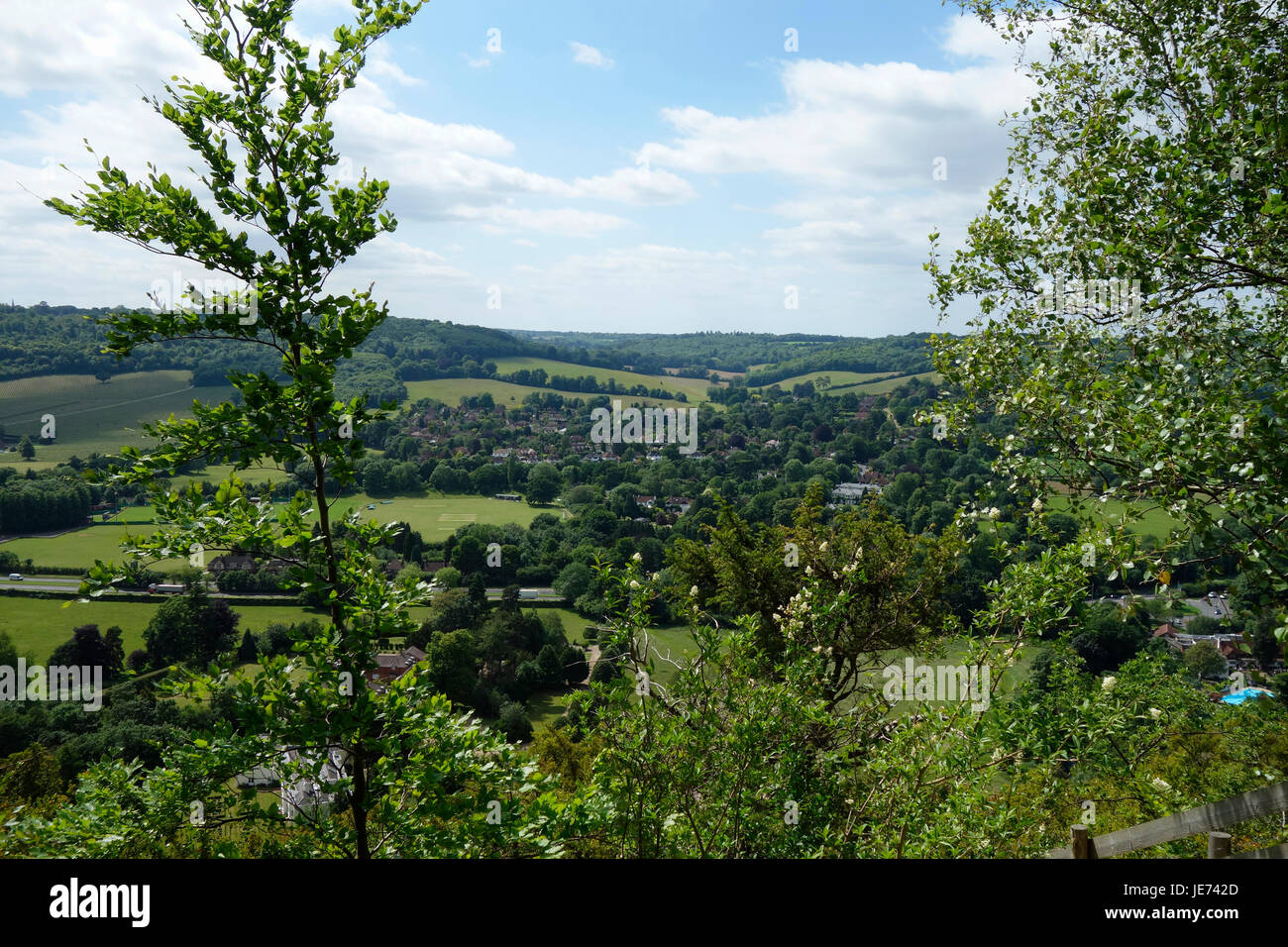Paesaggio delle colline del Surrey a Dorking, Surrey. Foto Stock