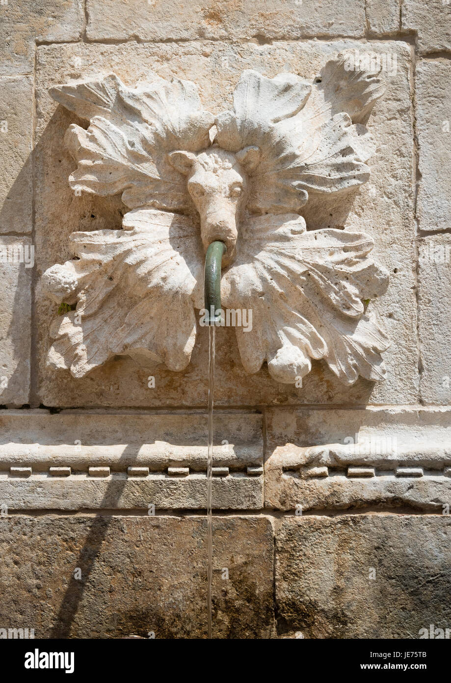 Gargoyle placca e tubo di acqua sul grande fontana di Onofrio entro le mura della Città Vecchia di Dubrovnik in Croazia Foto Stock