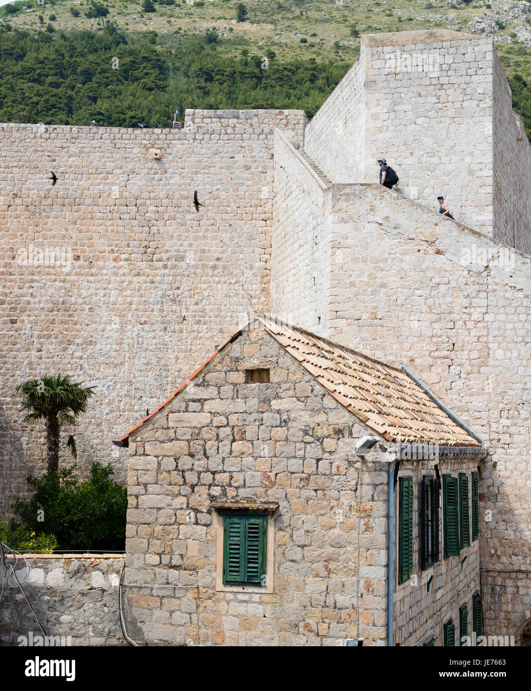 I turisti salendo le grandi mura della città di Dubrovnik sulla costa dalmata della Croazia Foto Stock