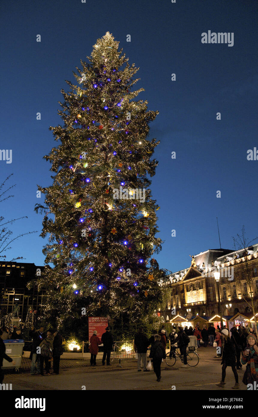 L'Europa, Francia, Alsazia, Strasburgo, albero di Natale sulla colla spazio, Foto Stock
