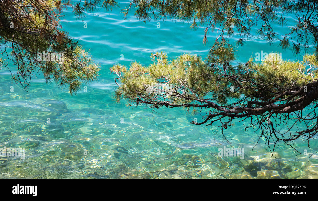 Le acque turchesi di Malo Jezero la minore delle due Inland Sea laghi sull isola di Mljet sulla costa dalmata della Croazia Foto Stock