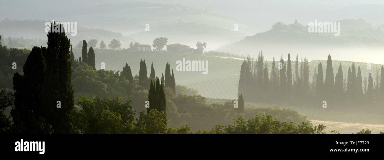 L'Italia, Toscana, regione Chianti, mattina tuning, Foto Stock