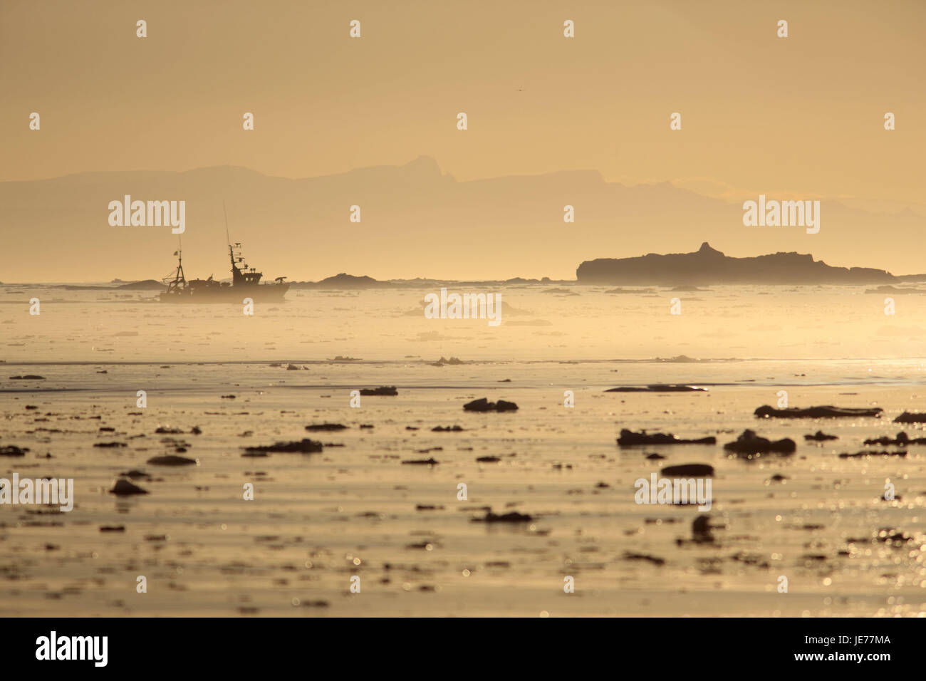 La Groenlandia, Discoteca Bay, Ilulissat, Fjord, iceberg, pesca pescherecci da traino, silhouette, nebbia, luce della sera, Groenlandia occidentale, ghiaccio, ghiacciaio, l'Artico, estate, solitudine, deserte, la deriva di ghiaccio del ghiacciaio di terminazione anormale, Ilulissat Tourist Nature-gelato fjord, gelato fiordo, patrimonio mondiale dell'UNESCO, la natura, il cambiamento climatico, visualizzare la pesca in barca, pesca sportiva, Foto Stock