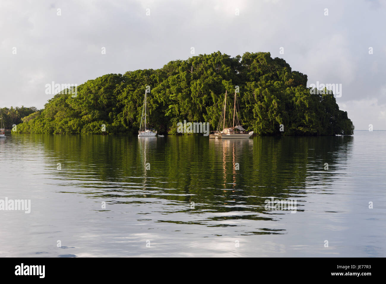 Barche a vela ancora prima di isola, suva Harbour, Viti Levu, Figi, Foto Stock