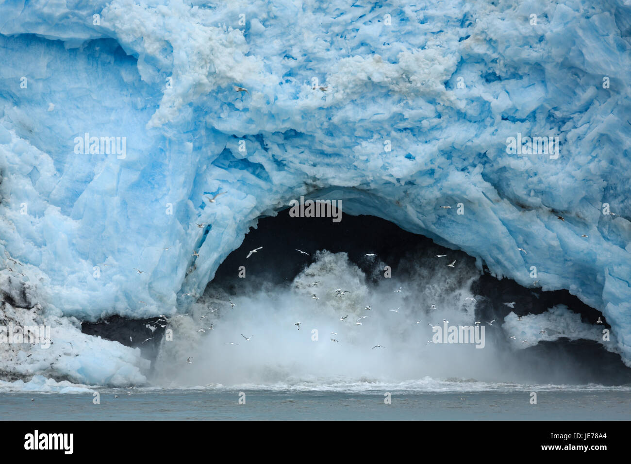 La speleologia di ghiaccio da un blu brillante ghiacciaio rende grande splash in acqua quando cade Foto Stock