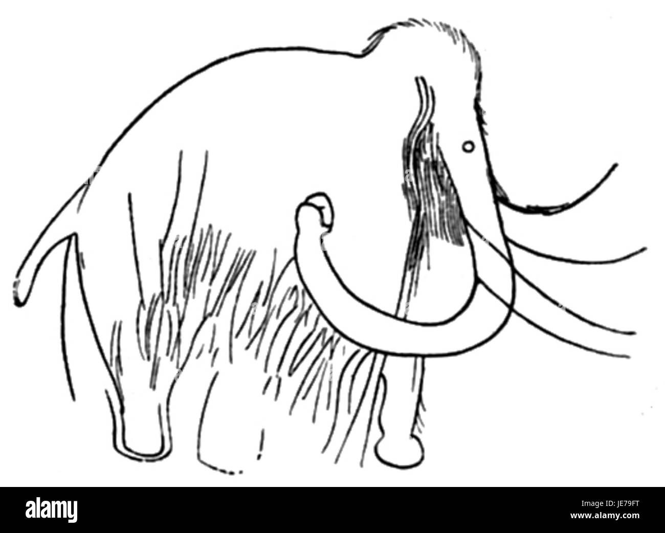 Una rappresentazione del mammut preistorico a Combarelles, un sito archeologico noto per la sua arte rupestre e l'antica abitazione umana, che mostra la prima storia umana e la fauna selvatica. Foto Stock