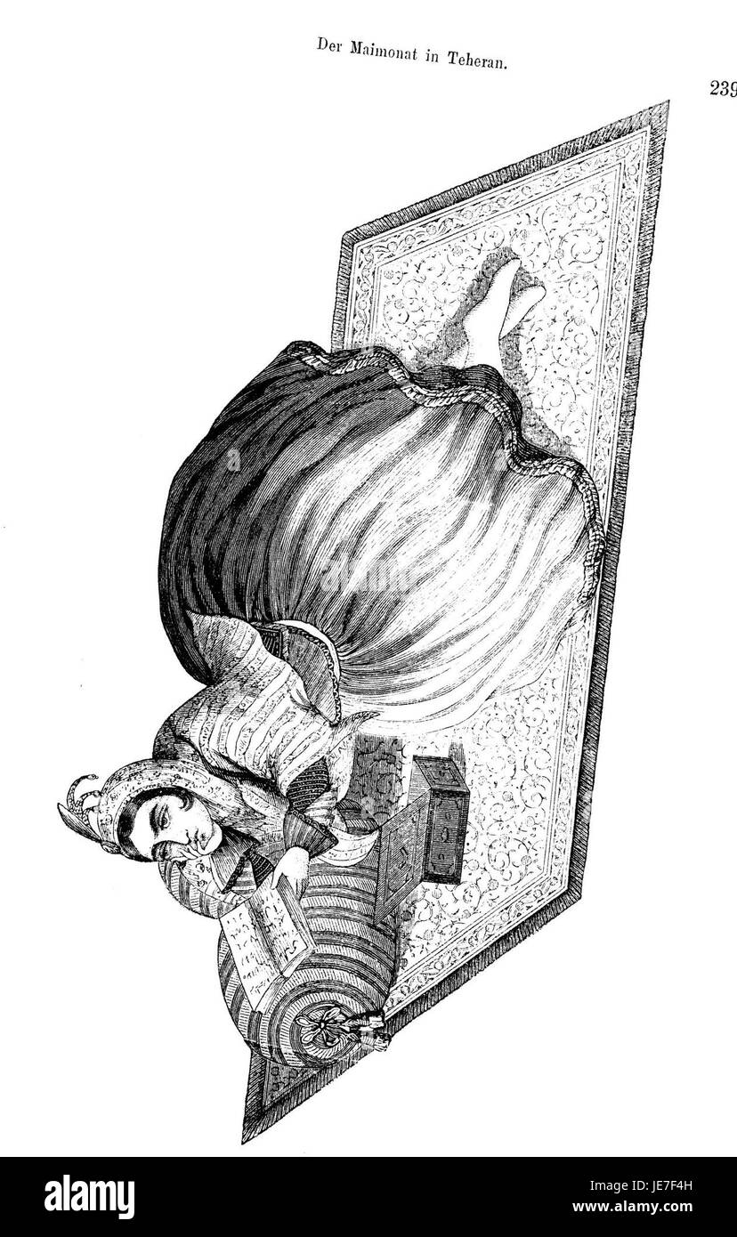"Reise nach Persien" (viaggio in Persia) di Brugsch è un resoconto di viaggio storico del XIX secolo, che descrive in dettaglio le osservazioni dell'autore sulla cultura, la geografia e la società persiana durante la sua visita. Foto Stock