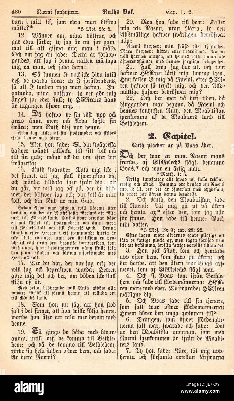Biblia Fjellstedt è un'edizione della Bibbia del XIX secolo, pubblicata nel 1890. Questo volume, pagina 490, fornisce approfondimenti sui testi religiosi e sull'interpretazione delle Scritture bibliche durante questo periodo. Foto Stock