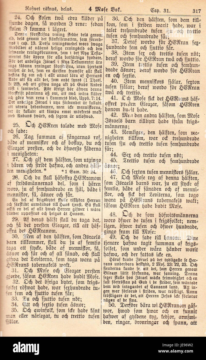 Biblia Fjellstedt i è una traduzione storica della Bibbia del 1890, un'opera religiosa e linguistica significativa della fine del XIX secolo. Questa versione contribuì alla diffusione del cristianesimo e alla conservazione della lingua nella regione che serviva. Foto Stock