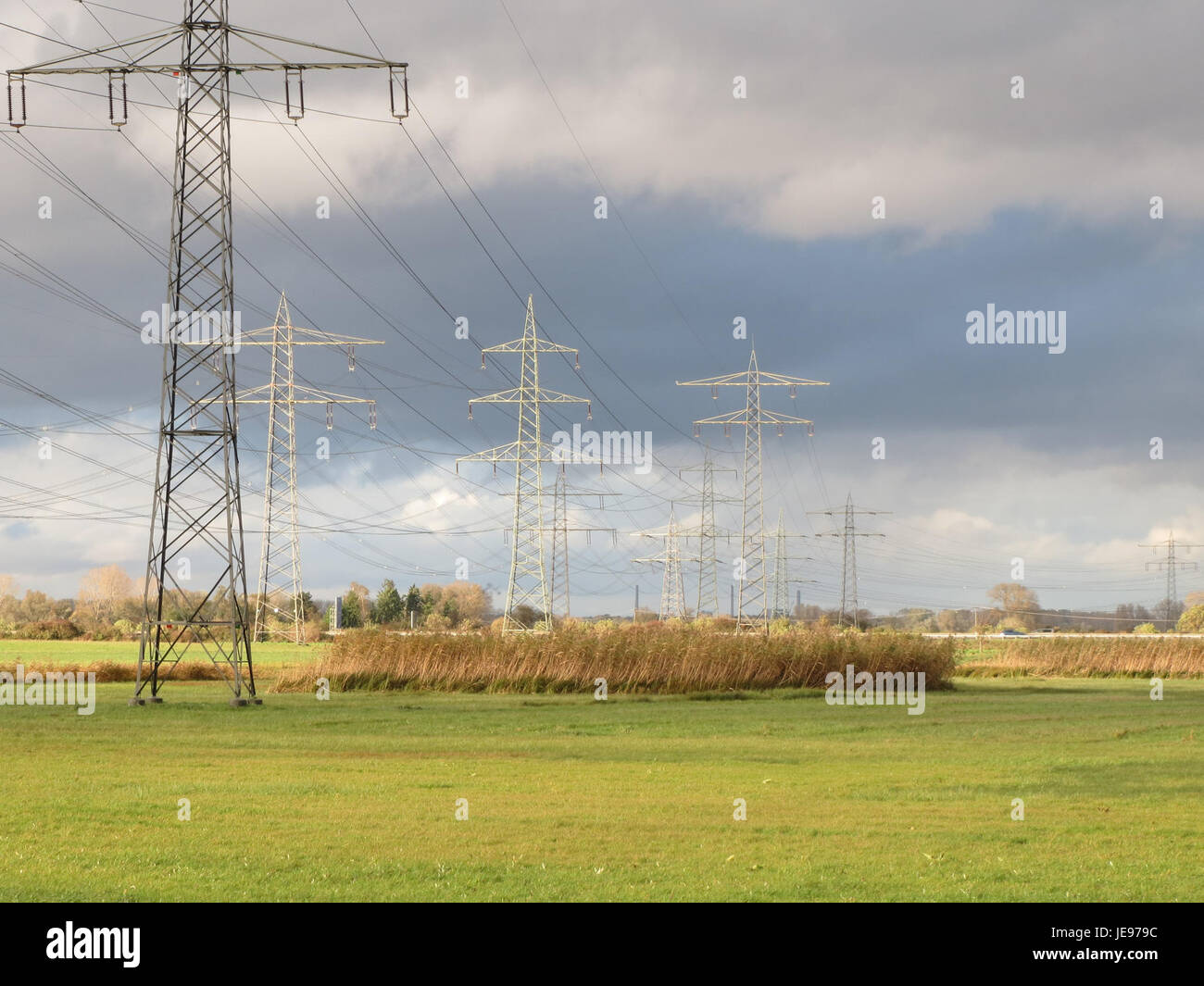 Una fotografia scattata il 3 novembre 2013, che mostra l'Hockenheimer Rheinbogen, una riserva naturale lungo il fiume Reno in Germania, che cattura il paesaggio e le caratteristiche ambientali. Foto Stock