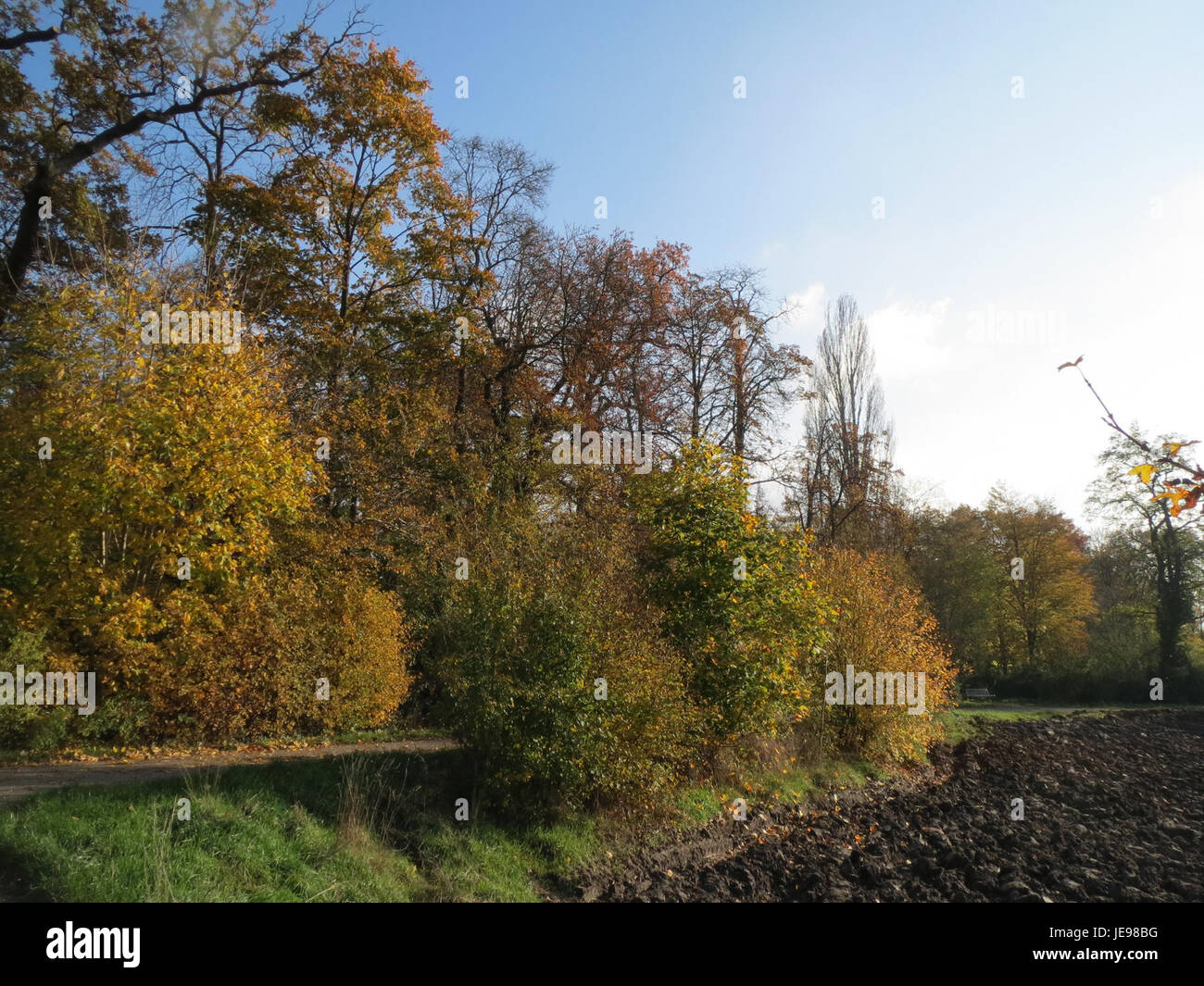 Schlossgarten Schwetzingen è un giardino storico di Schwetzingen, in Germania, noto per il suo paesaggio del XVIII secolo, le fontane e l'architettura barocca, che funge da punto di riferimento culturale e storico. Foto Stock
