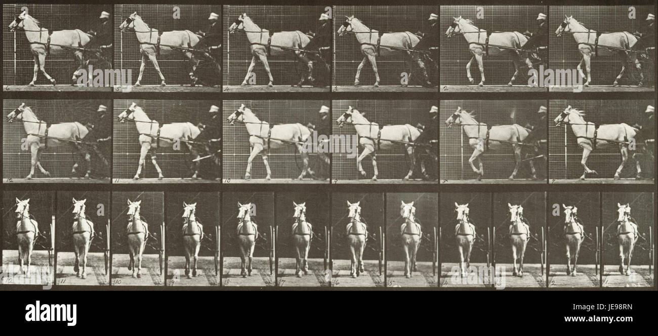 "Walking, Sulky, LightGray mare, Katydid" di Eadweard Muybridge fa parte del suo lavoro pionieristico nella fotografia in movimento. Questa serie cattura il movimento di un cavallo e sulfuky in studi di movimento precisi, significativi nella storia della tecnologia fotografica. Foto Stock
