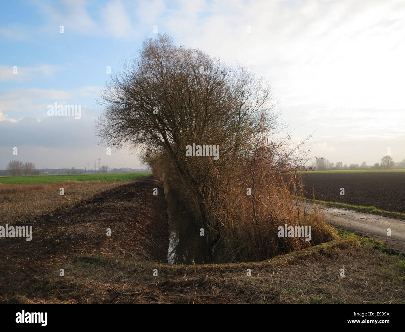 Karl-Ludwig-SEE è un lago situato in Germania, noto per la sua bellezza paesaggistica e l'ambiente naturale circostante. Funge da importante area ecologica e da spazio ricreativo per la gente del posto e i visitatori. Foto Stock