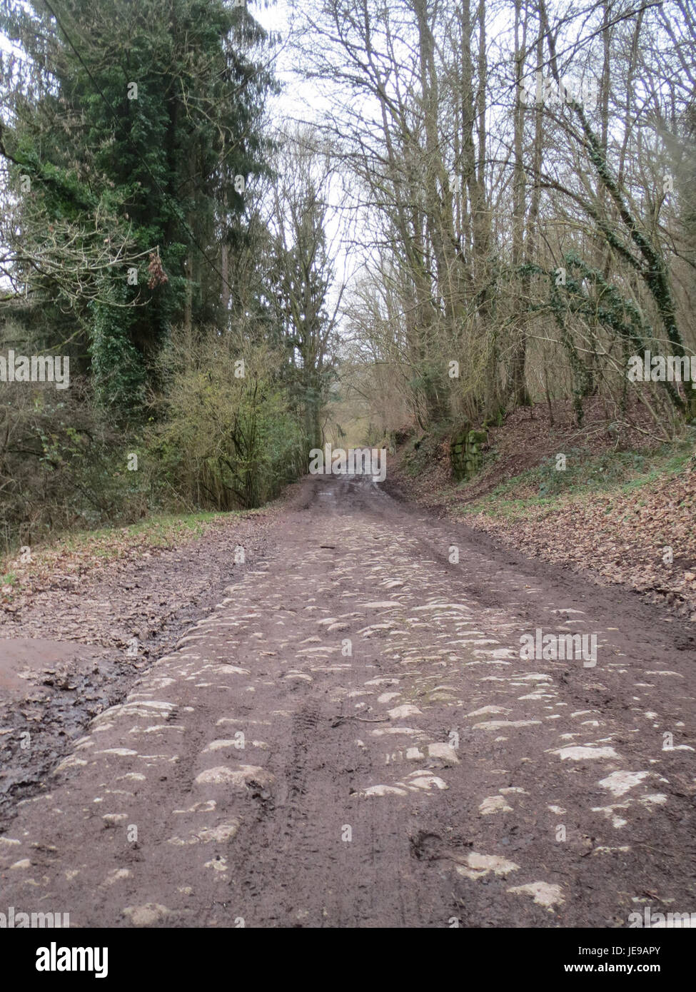 Questa fotografia, scattata il 26 gennaio 2014, mostra il paesaggio panoramico di Simbachtal. L'immagine evidenzia la bellezza naturale di questa valle, con le sue colline ondulate e le aree boschive nella stagione invernale. Foto Stock