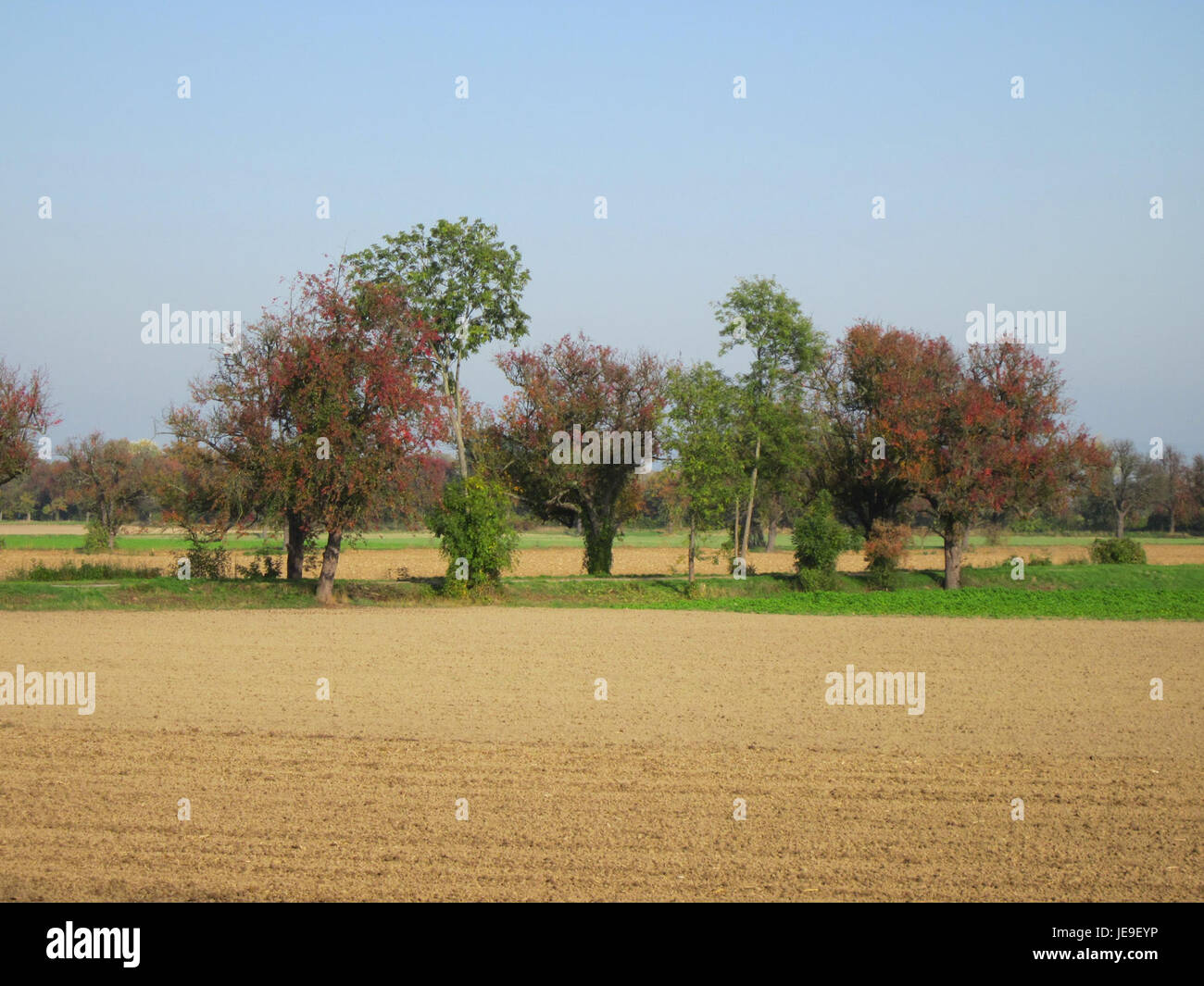 Una veduta dell'alte Landstrasse, che mostra una storica strada rurale in Germania, probabilmente durante i primi anni '2010 La foto evidenzia il paesaggio lungo la strada e l'ambiente circostante. Foto Stock