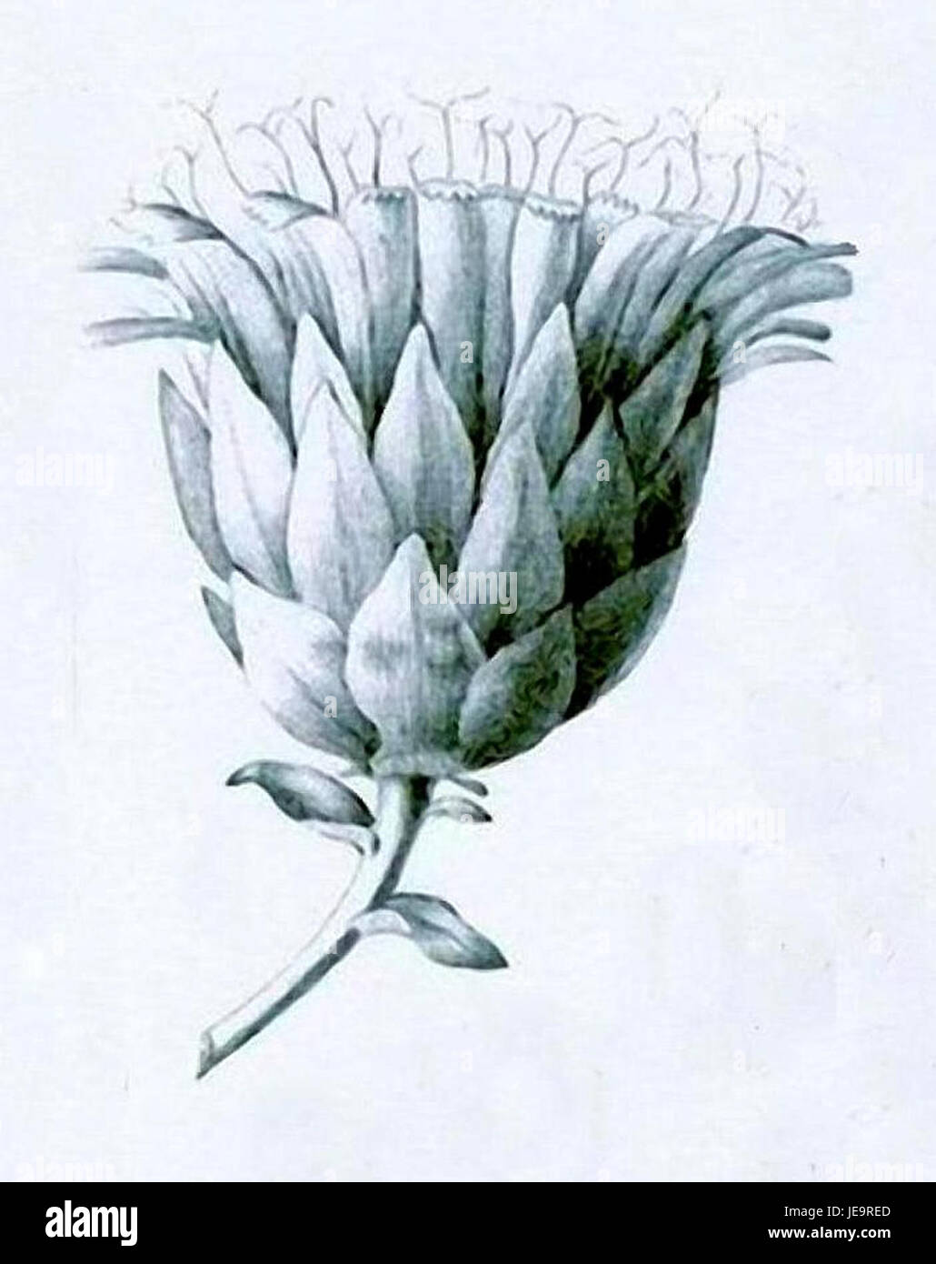 Decaine, un riferimento a un disegno tecnico o ingegneristico, è qui presentato nella piastra 9-001a. Il disegno mostra una rappresentazione dettagliata di un sistema di progettazione, illustrando i componenti e le caratteristiche tecniche utilizzate nelle applicazioni industriali. Foto Stock