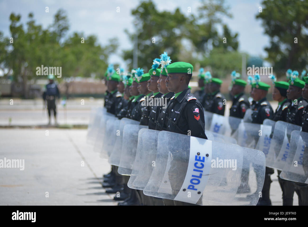 La foto della Nigeria Medal Ceremony 2013 cattura un evento ufficiale che riconosce gli individui per i loro risultati. La cerimonia sottolinea l'importanza di onorare coloro che hanno dato un contributo significativo alla società. Fornisce uno sguardo all'ambientazione formale dell'evento, concentrandosi sulla presentazione della medaglia e sui dignitari coinvolti. Foto Stock
