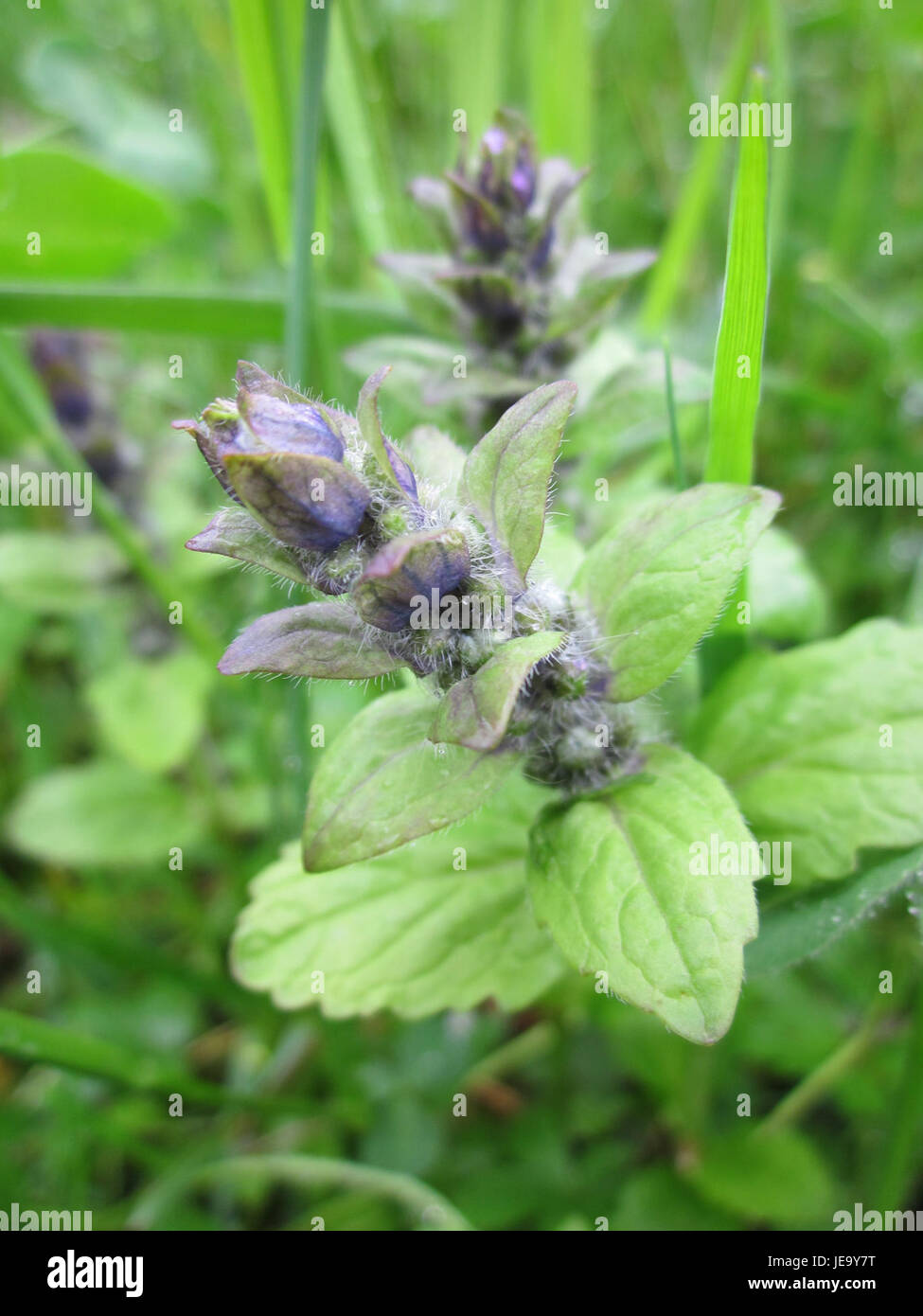 Una fotografia scattata il 27 aprile 2013 al Gartenschaupark di Hockenheim, Germania. L'immagine mostra il paesaggio e le caratteristiche ricreative del parco, sottolineando il suo ruolo di spazio pubblico per il tempo libero e l'apprezzamento della natura. Foto Stock