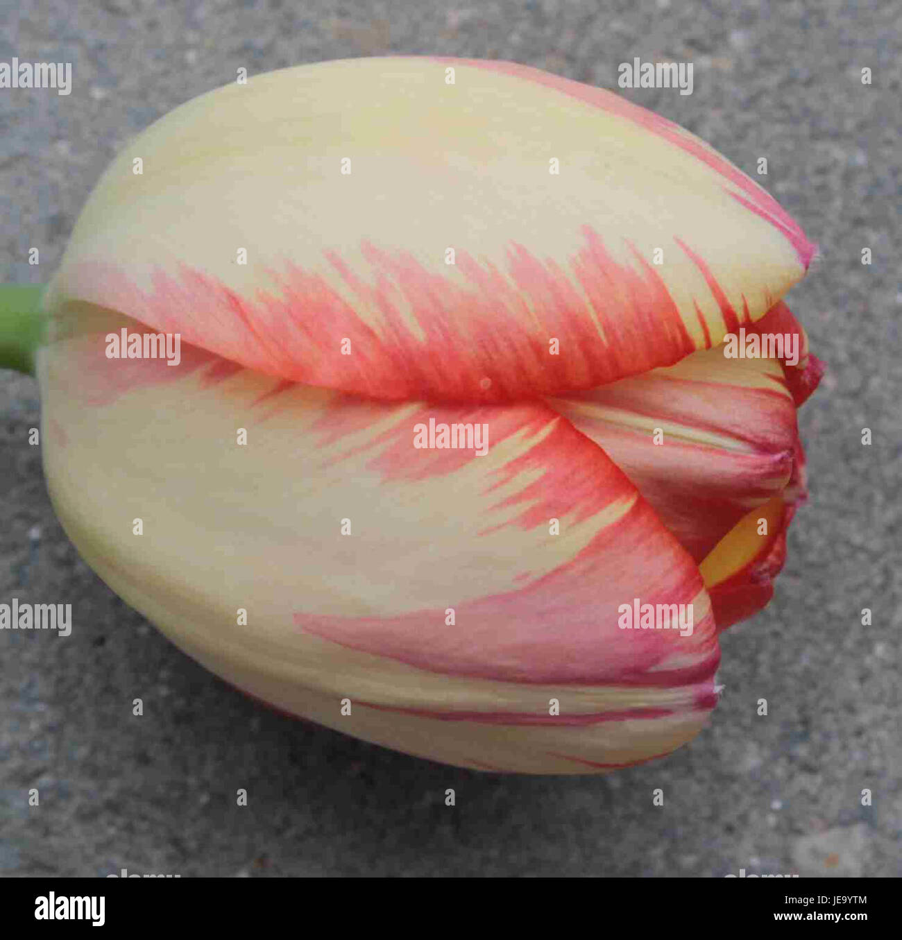 Una fotografia scattata il 2 maggio 2013, raffigurante un evento pubblico o storico, che mostra un raduno o un individuo. Foto Stock