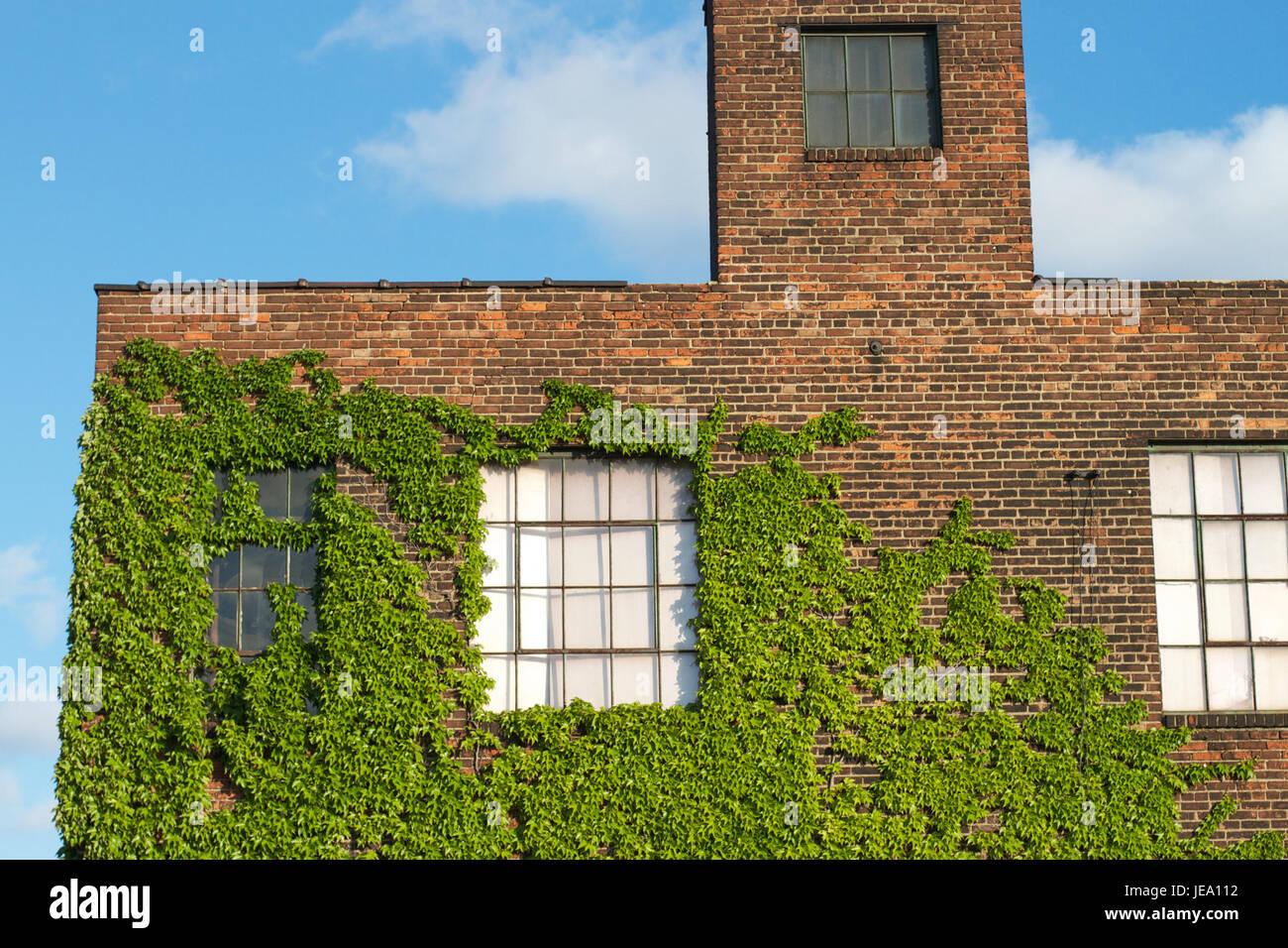 Una fotografia che mostra il contrasto tra piante ed edifici, illustrando l'interazione tra natura e ambienti urbani, scattata il 31 dicembre 2013. Foto Stock