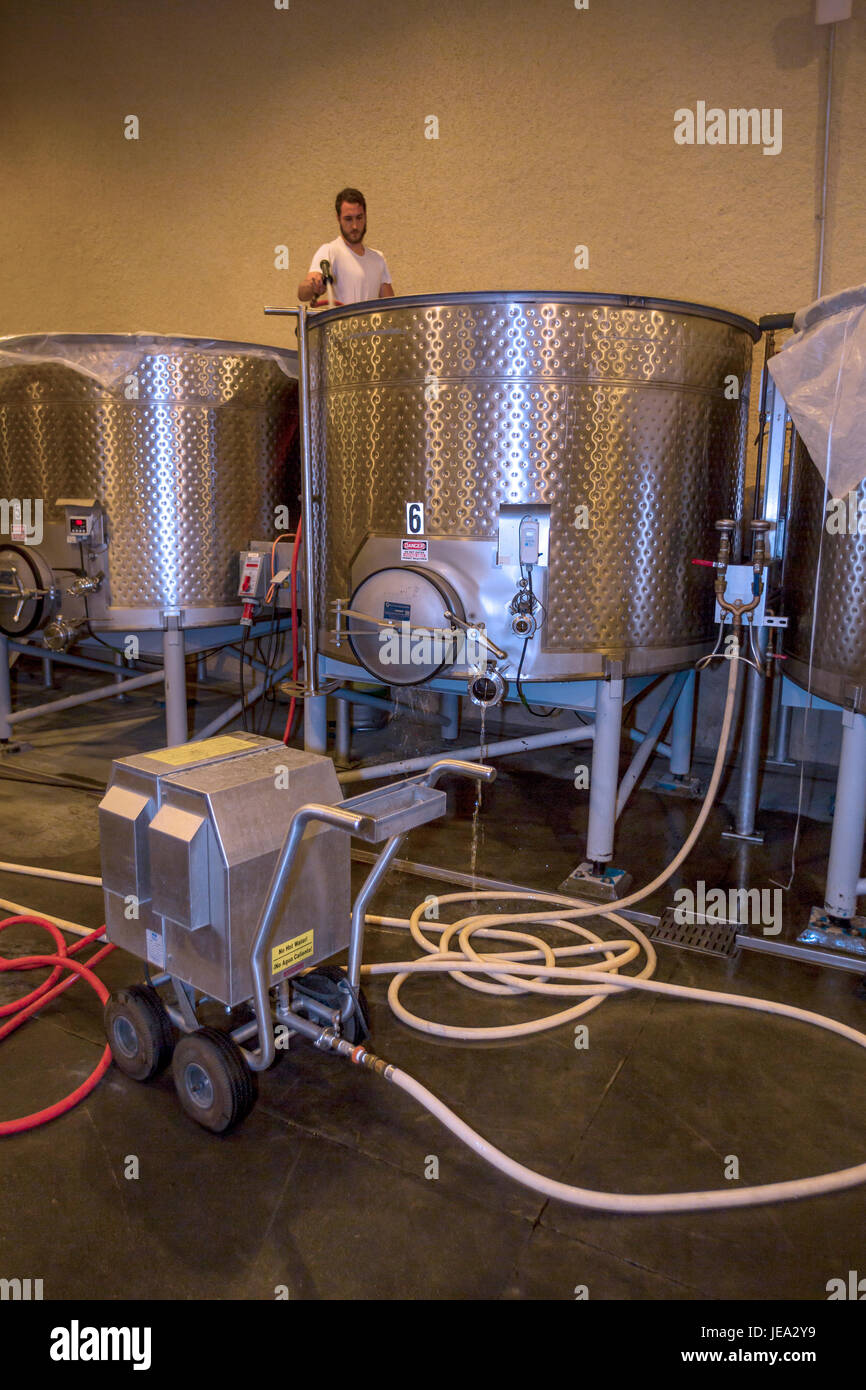 Cantina lavoratore, pulizia in acciaio inox serbatoio di fermentazione, area di fermentazione, Failla Cantina, Saint Helena, la Valle di Napa NAPA County, California Foto Stock