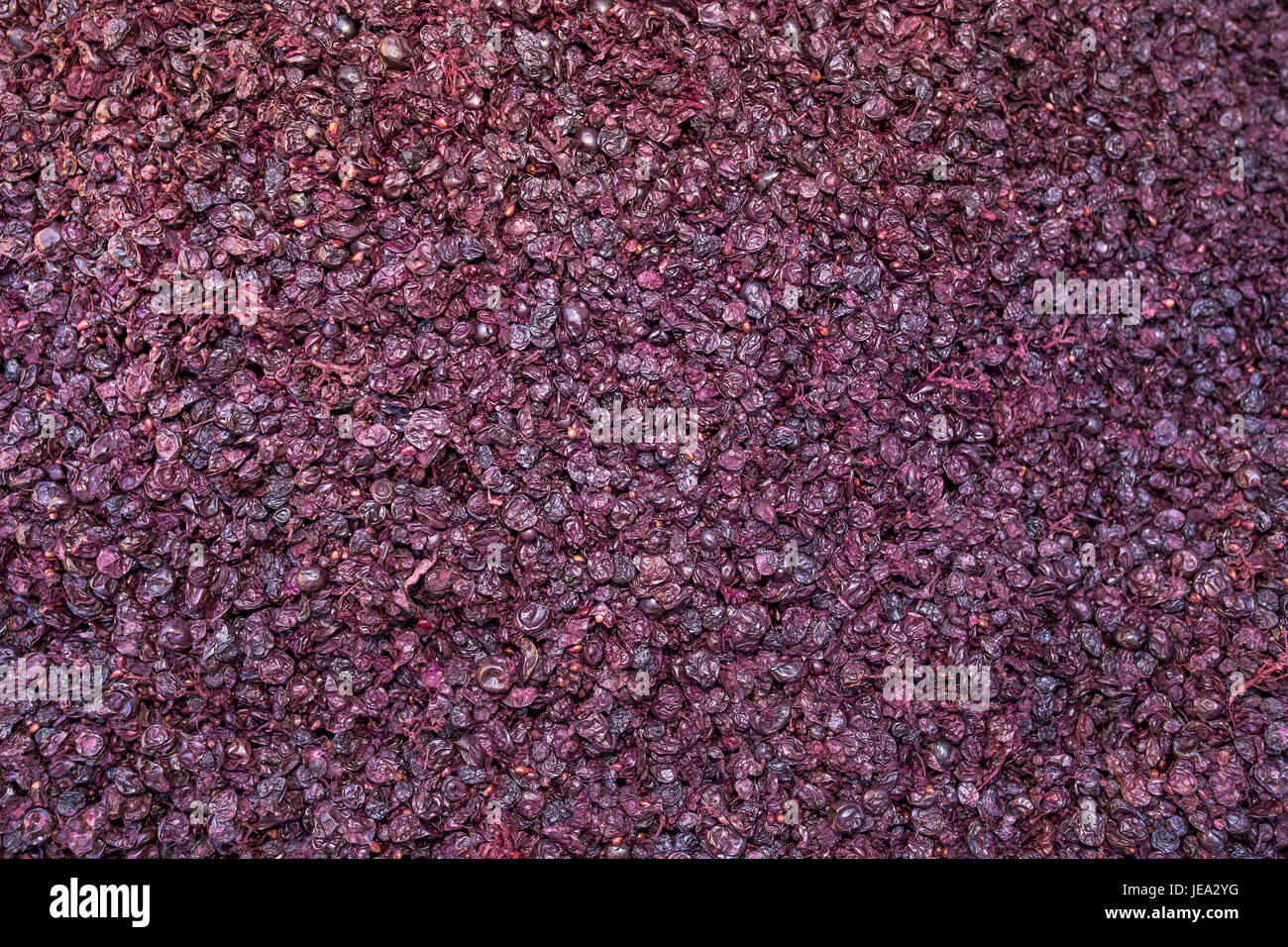 Vinaccia di uva, premere residuo, bucce, Failla Cantina, Saint Helena, la Valle di Napa NAPA County, California Foto Stock