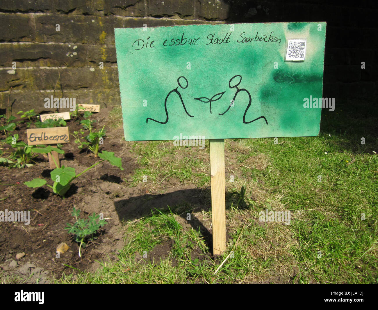 La foto mostra un giardino di guerriglia a Staden, una forma di giardinaggio urbano dove gli individui coltivano piante in spazi trascurati o inutilizzati. Il giardinaggio Guerilla è un movimento di base che mira a rivitalizzare le aree urbane attraverso il verde e la piantagione sostenibile. Foto Stock