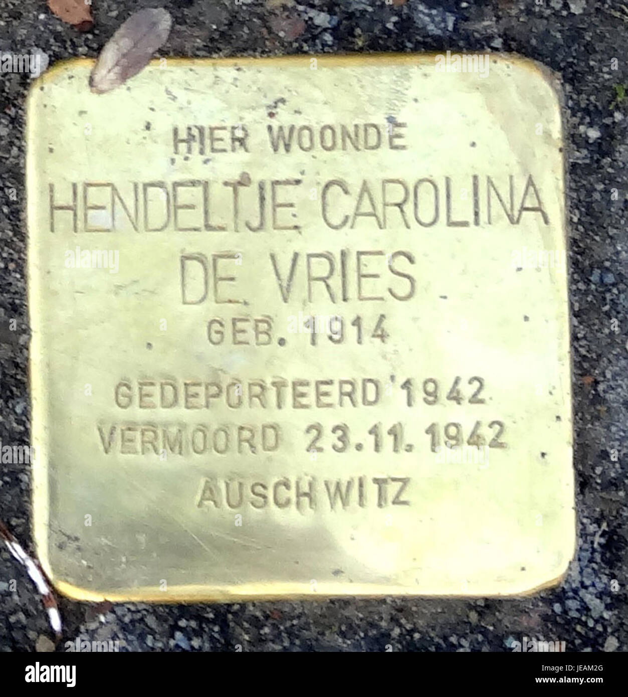 Questa fotografia del 6 novembre 2014 descrive la Stolpersteine, una serie di placche commemorative in ottone poste sul terreno in memoria delle vittime dell'Olocausto, specificamente situate a Schoolstraat 56 a Musselkanaal, Paesi Bassi. Foto Stock