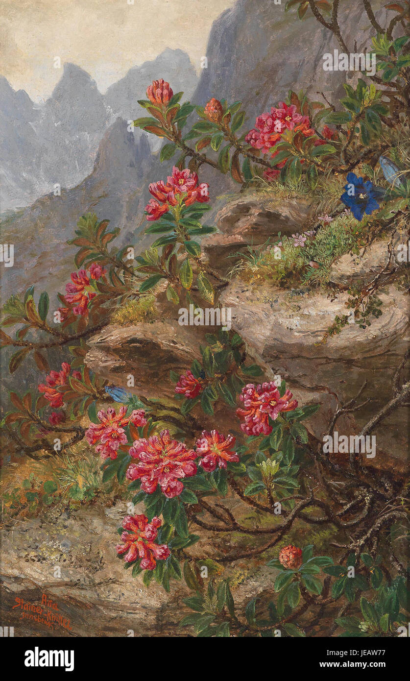 Un'illustrazione botanica di Anna Stainer-Knittel, che mostra una varietà di fiori alpini originari delle Alpi, concentrandosi su colori vivaci e forme delicate. Foto Stock