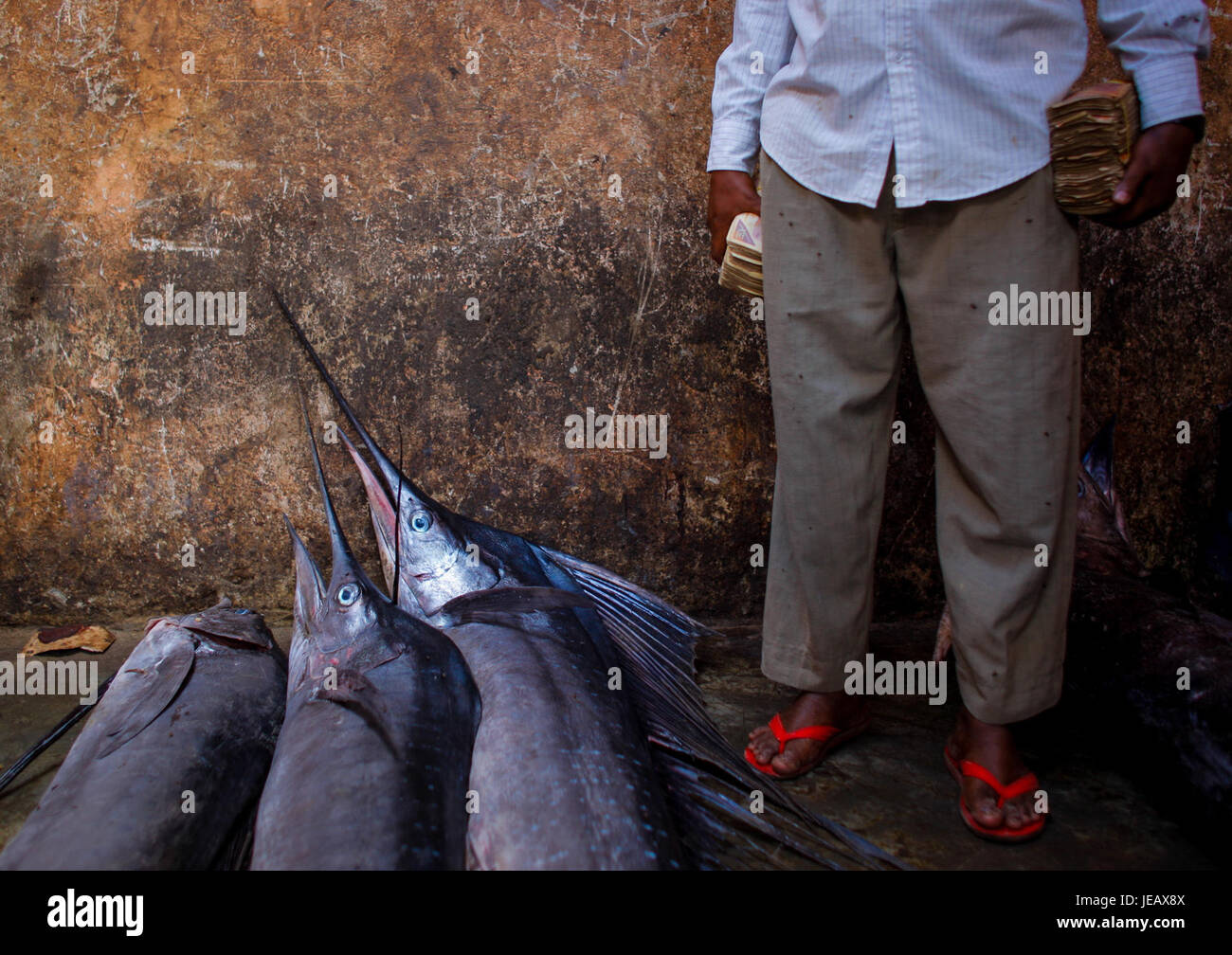 L'immagine raffigura le attività di pesca al largo della costa somala, evidenziando le pratiche di pesca locali che sono una parte essenziale dell'economia del paese. La pesca in Somalia è fondamentale per il sostentamento e la sicurezza alimentare, nonostante le sfide poste da fattori ambientali e politici. Foto Stock
