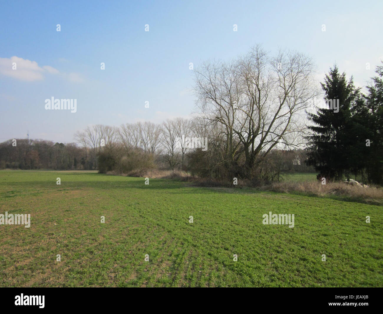 Froeschau a Reilingen, in Germania, è una località rurale nota per le sue attività agricole e i paesaggi naturali. L'area è un ottimo esempio della tipica campagna tedesca con campi aperti e fattorie. Foto Stock