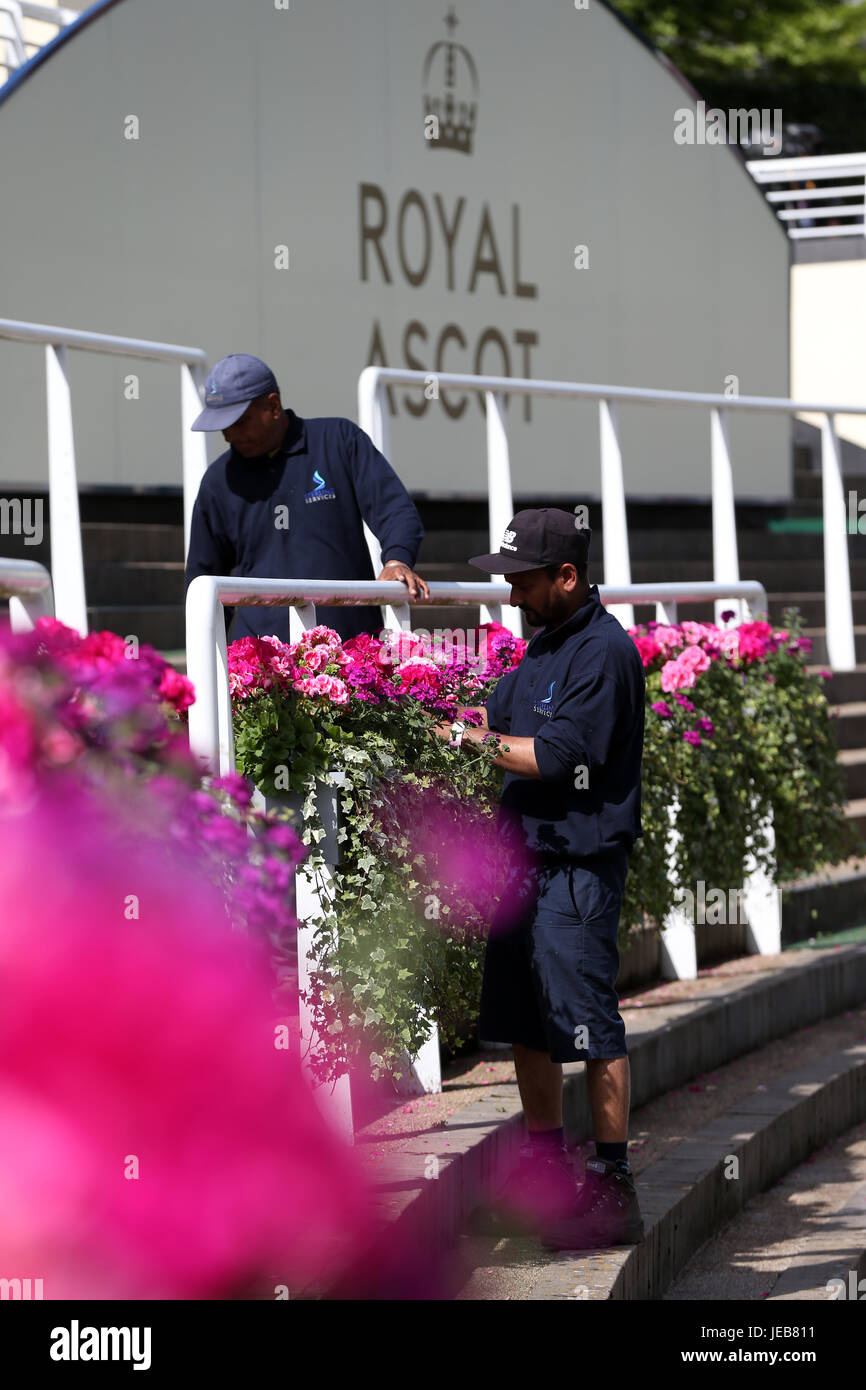 Giardinieri tendono a fiori sui gradini della parade ring durante il giorno quattro di Royal Ascot a Ascot Racecourse. Foto Stock